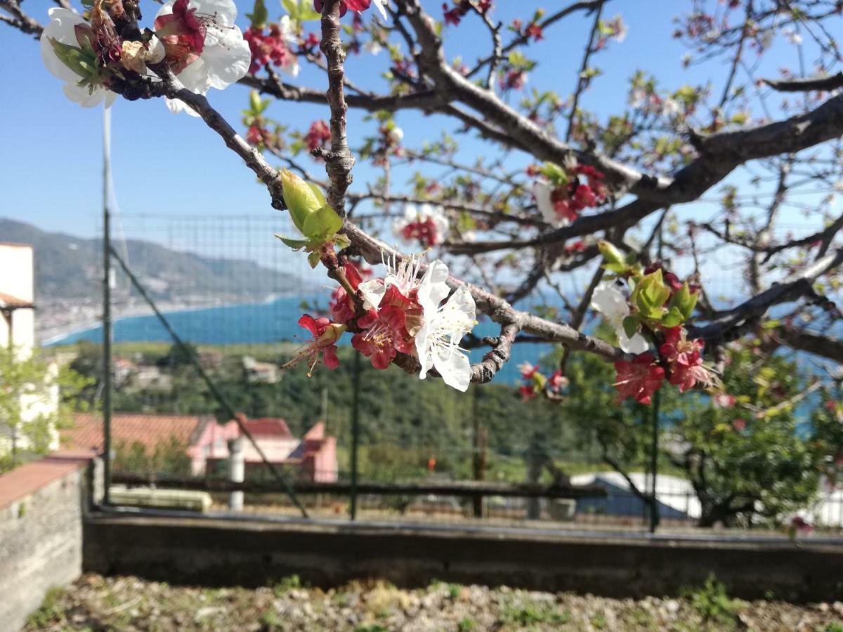 Villa Mariella 타오르미나 외부 사진